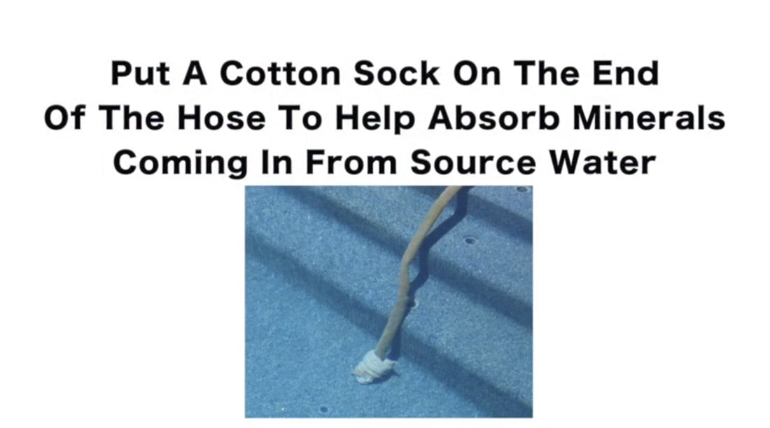 Fun Fact Friday