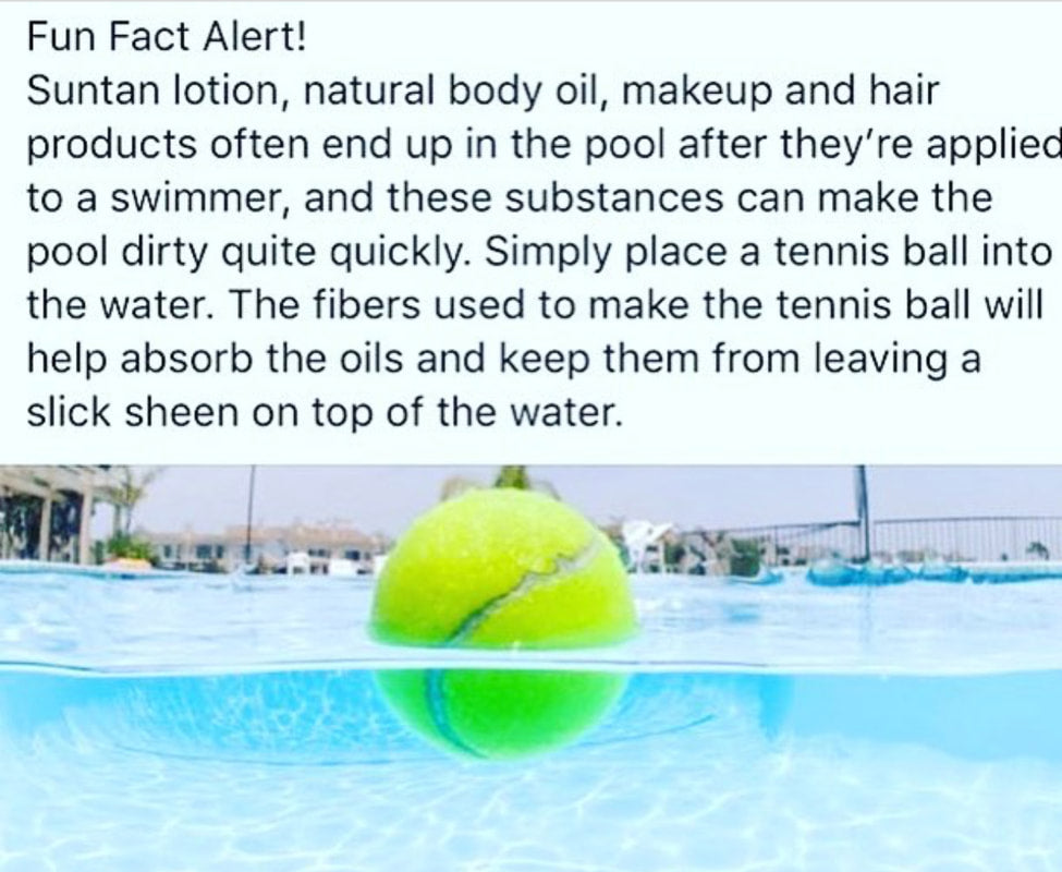 Fun Fact Friday