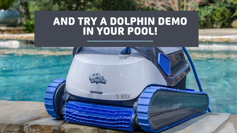 Dolphin Demo Try B4 You Buy!