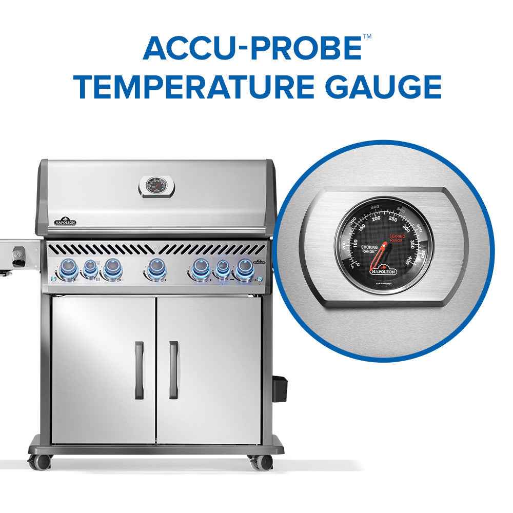 Patio Elegance Parrilla de gas Rogue PRO-S 625 RSIB con quemadores laterales y traseros infrarrojos
