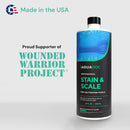 Stain and Scale Remover for Saltwater Pools