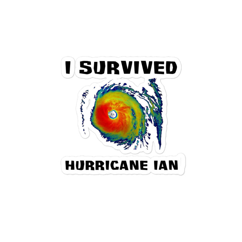 I Survived Hurricane Ian Bubble-Free Stickers